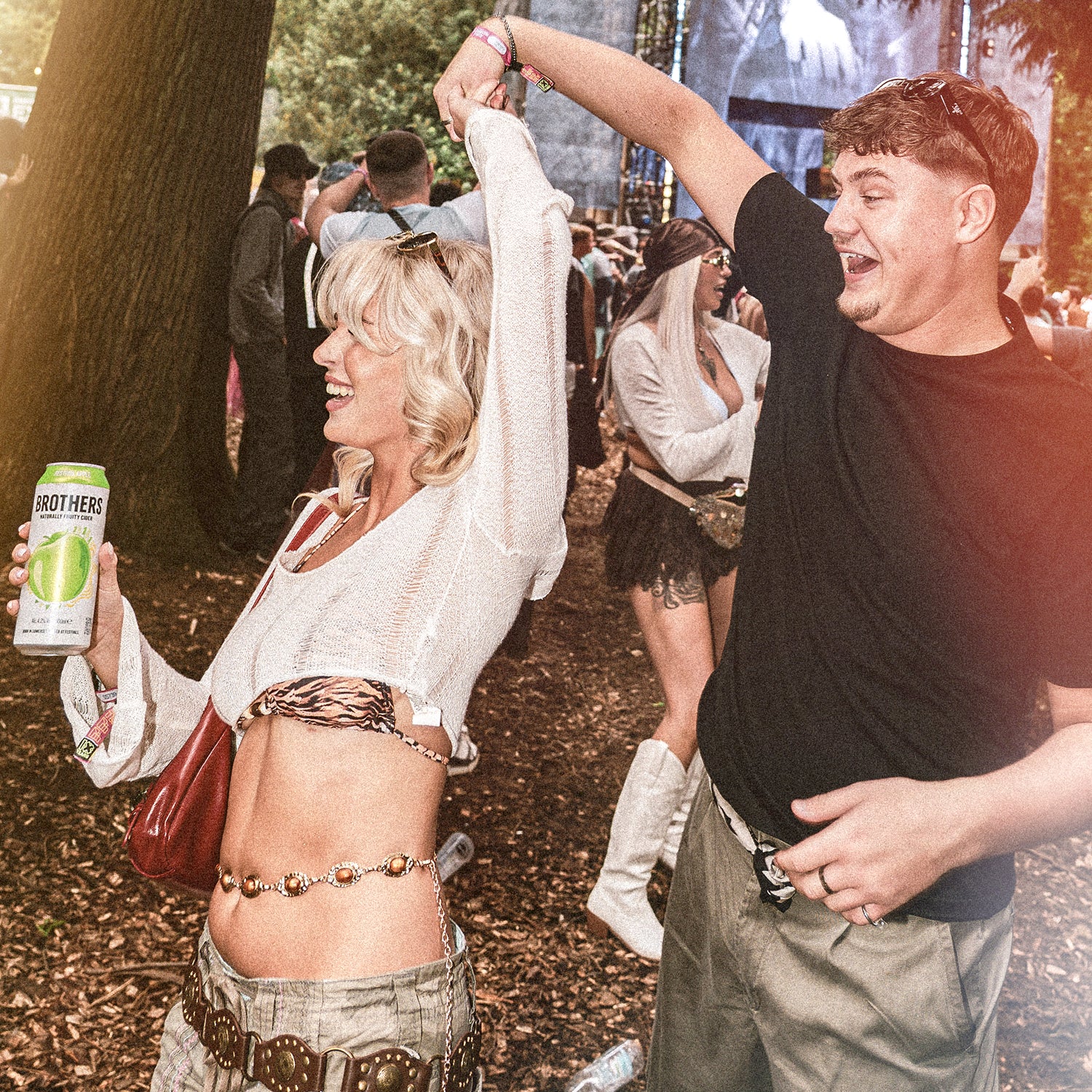 Brothers Festival Apple Cider