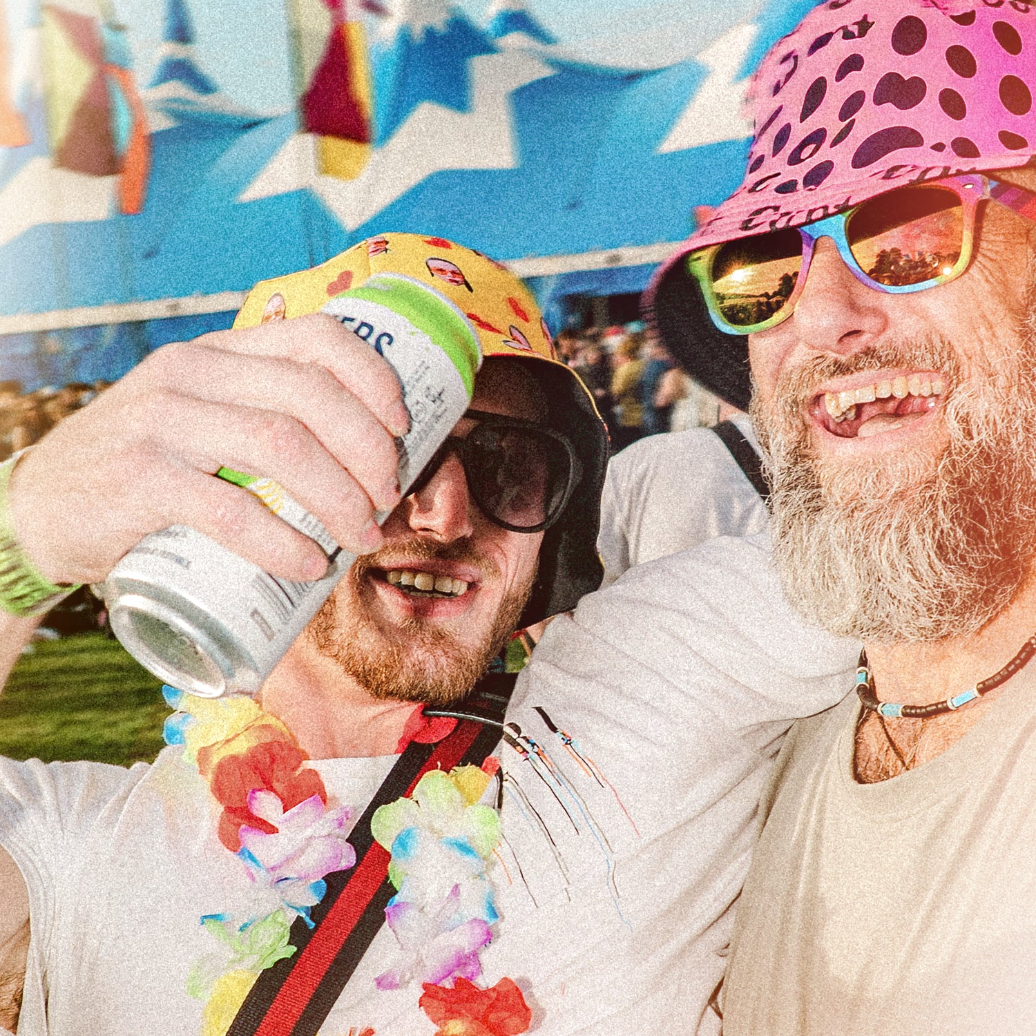 Brothers Festival Apple Cider