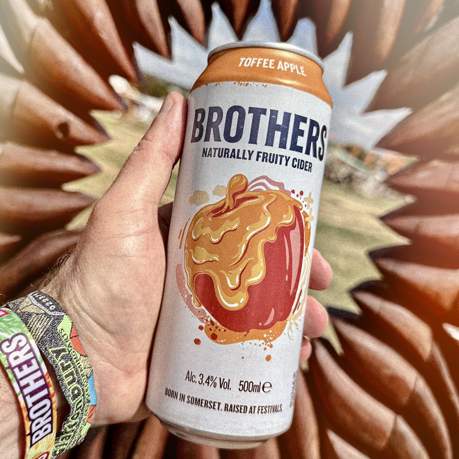 Brothers Toffee Apple Cider